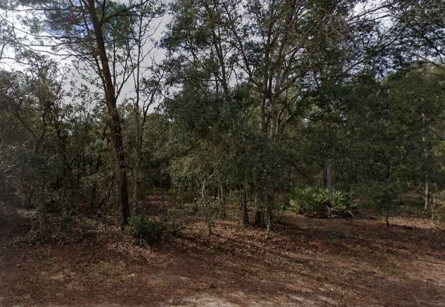 917 David Avenue, Interlachen, FL 32148 - Image #2