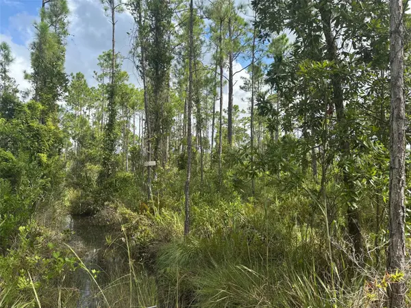 0 Co Rd 630, Lake Wales, FL 33898