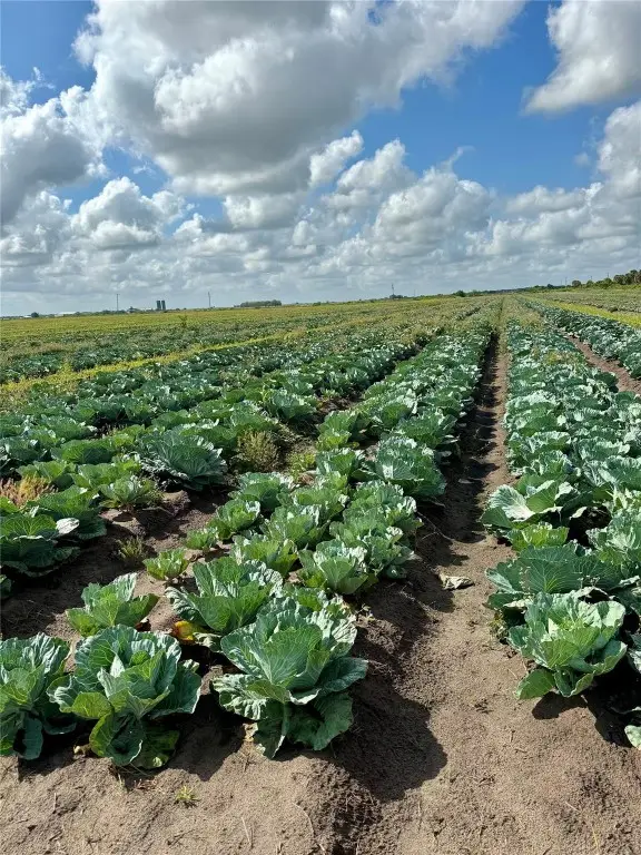 23481 NW 144th Avenue, Okeechobee, FL 34972 - Image #3