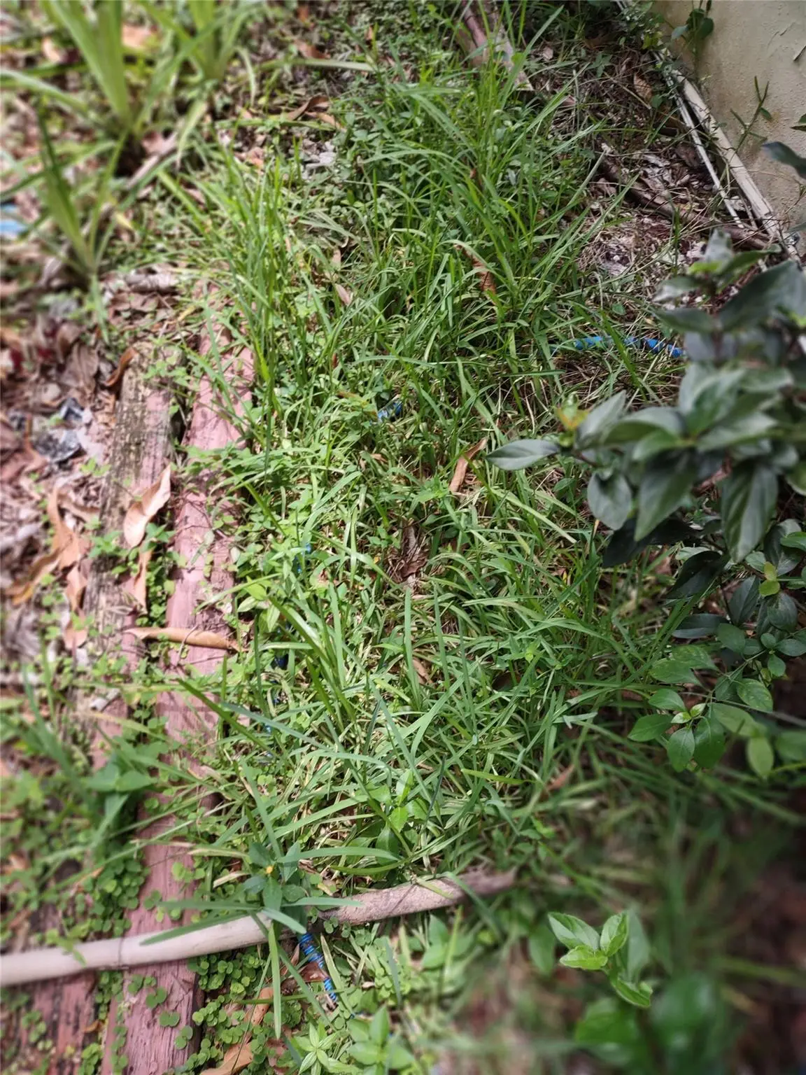 0000 SE 44 Avenue, Ocala, FL 32526 - Image #1