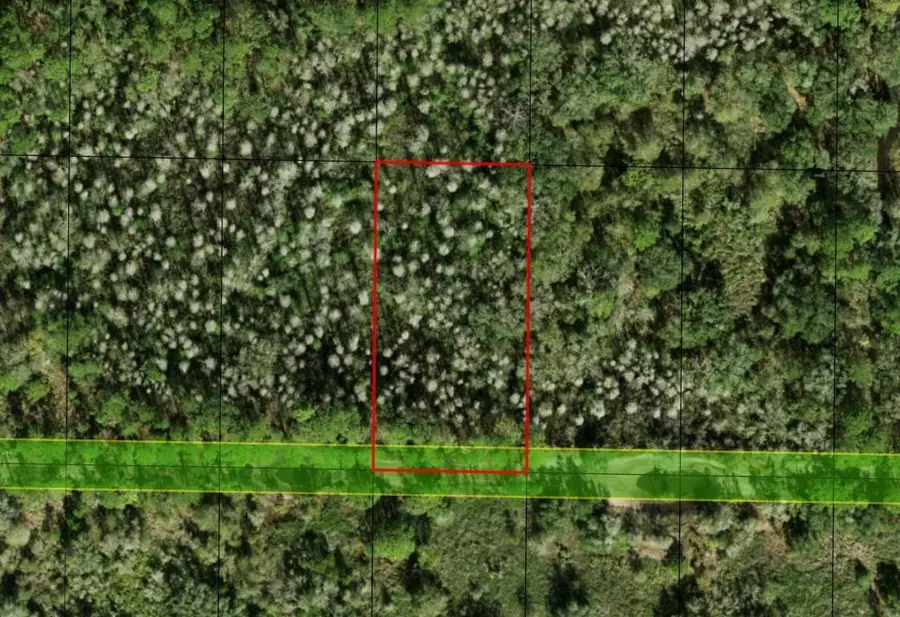 0 County Road, Kathleen, FL 33849 - Image #2
