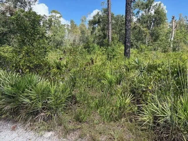 0 County Road, Kathleen, FL 33849 - Image #2