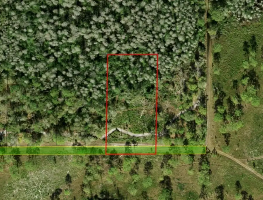 0 County Road, Kathleen, FL 33849 - Image #3
