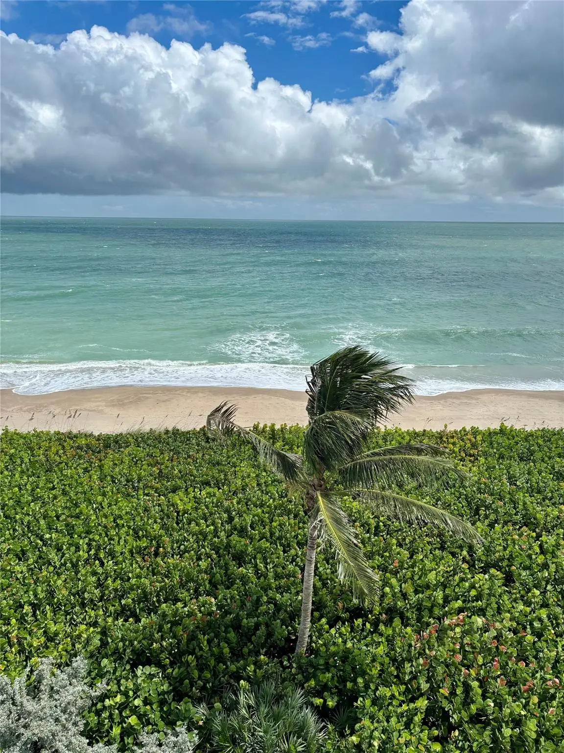 9940 S Ocean Dr #501, Jensen Beach, FL 34957 - Image #1