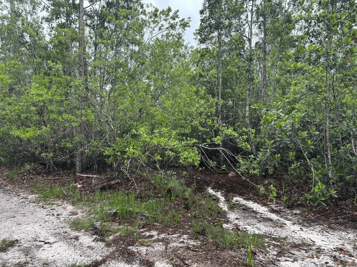 0 Holopaw Groves Rd, Saint Cloud, FL 34772 - Image #1