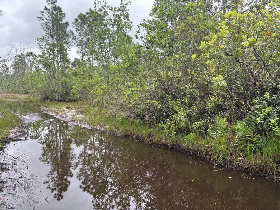 0 Holopaw Groves Rd, Saint Cloud, FL 34772 - Image #2