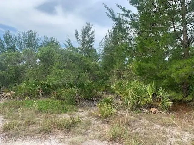 0 Holopaw Groves Road, Saint Cloud, FL 34772 - Image #2