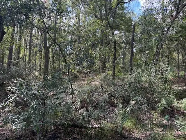 0 County Rd 54 E, Kathleen, FL 33849 - Image #2