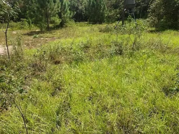 0 Old Grade Road, Polk City, FL 33868