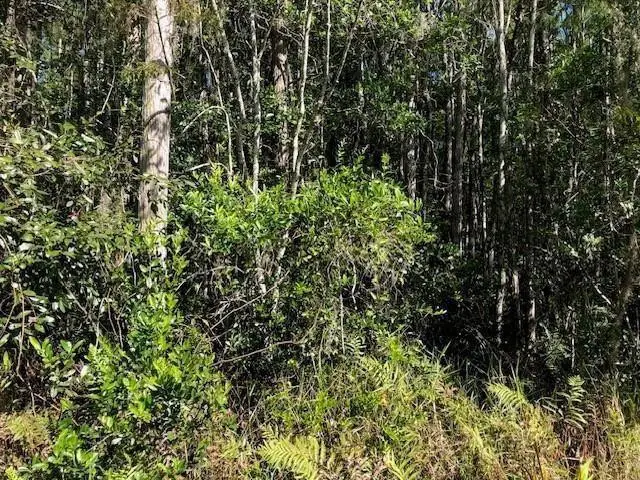 0 Old Grade Road, Polk City, FL 33868 - Image #3