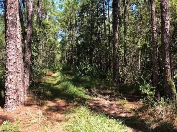 0 Old Grade Road, Polk City, FL 33868