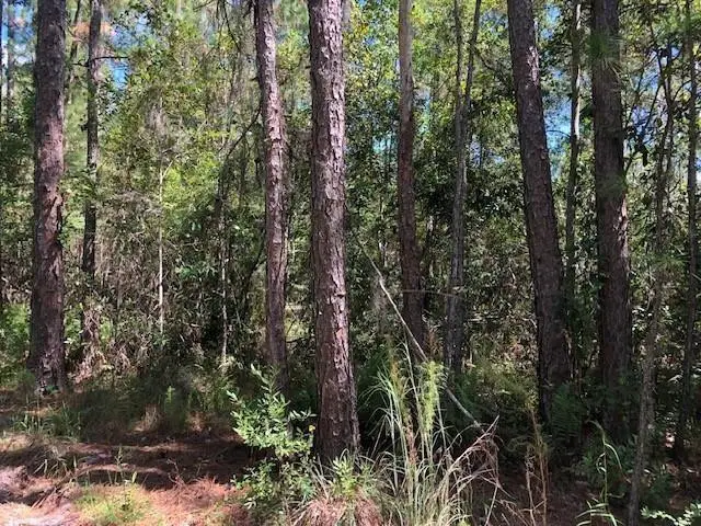 0 Old Grade Road, Polk City, FL 33868 - Image #2