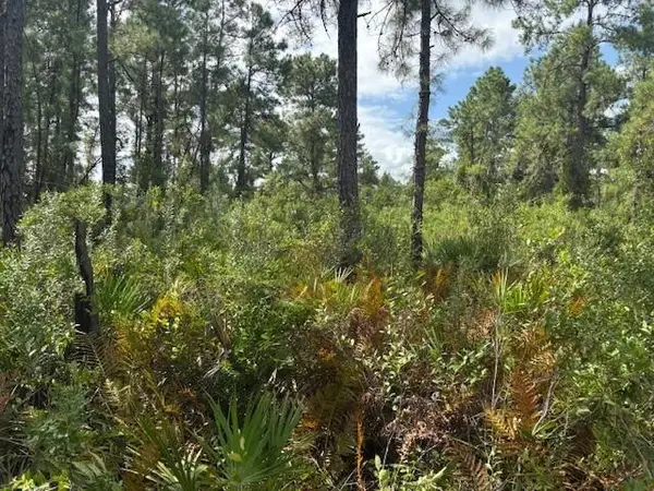 0 Hwy 630e, Frostproof, FL 33843