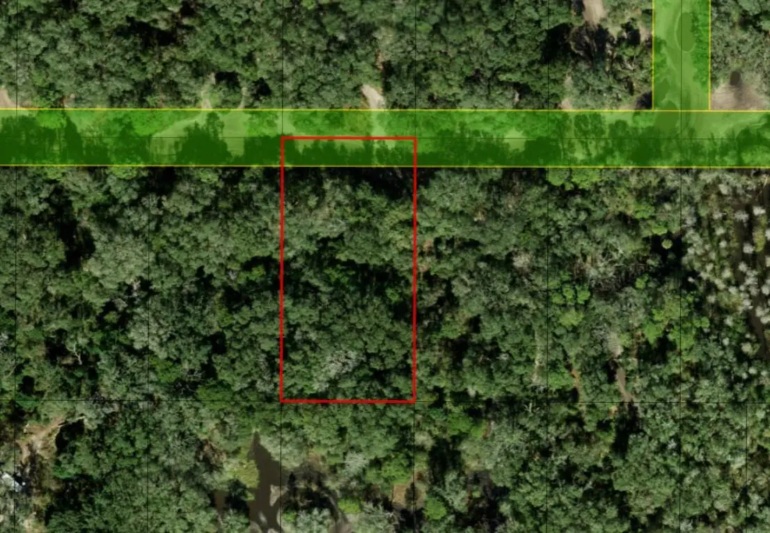 0 County Rd 54, Kathleen, FL 33849 - Image #1