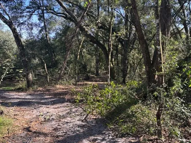 0 County Rd 54, Kathleen, FL 33849 - Image #3