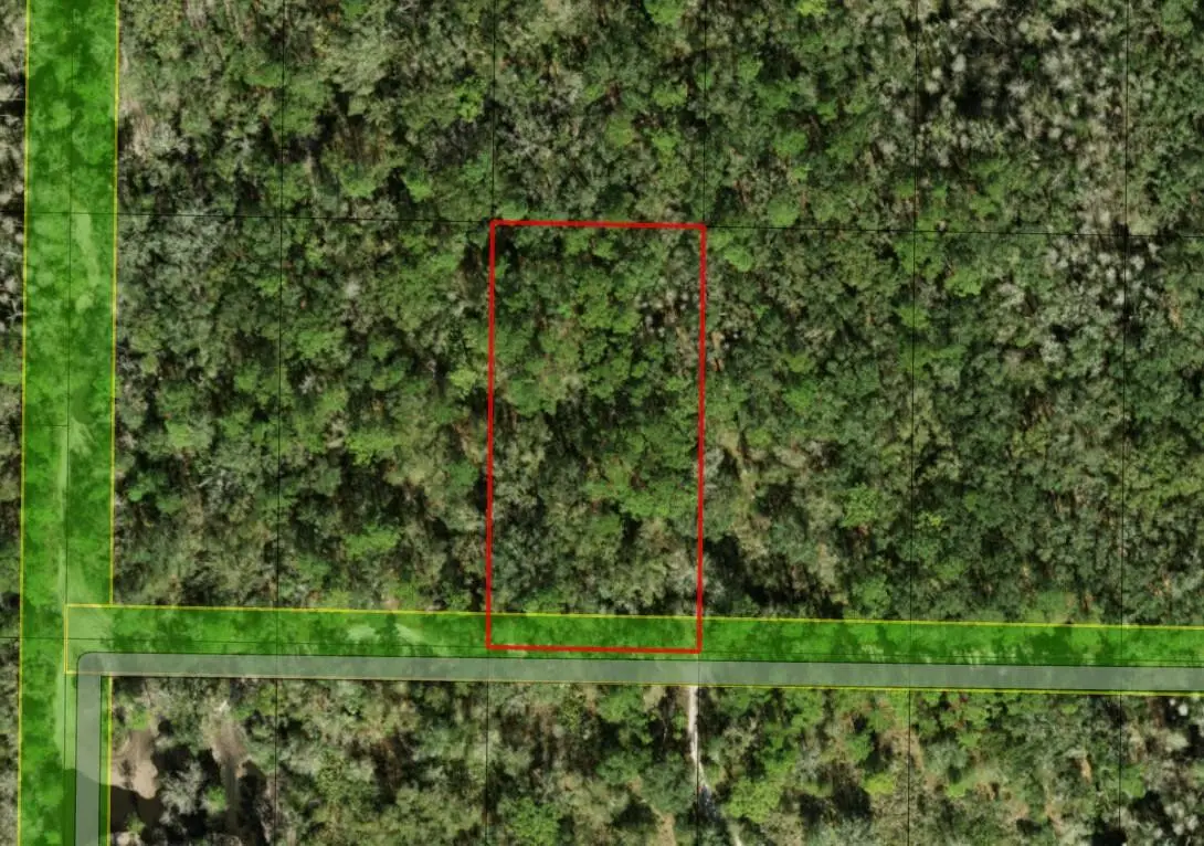 0 County Rd 54, Kathleen, FL 33849 - Image #1