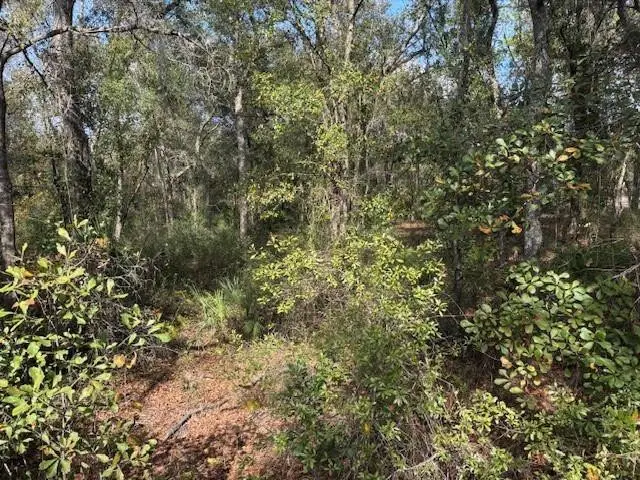 0 County Rd 54, Kathleen, FL 33849 - Image #3