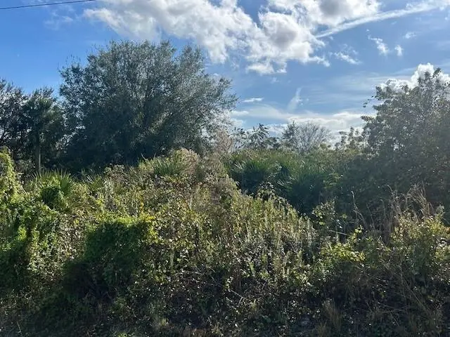 14938 NW 254th St, Okeechobee, FL 34972 - Image #2