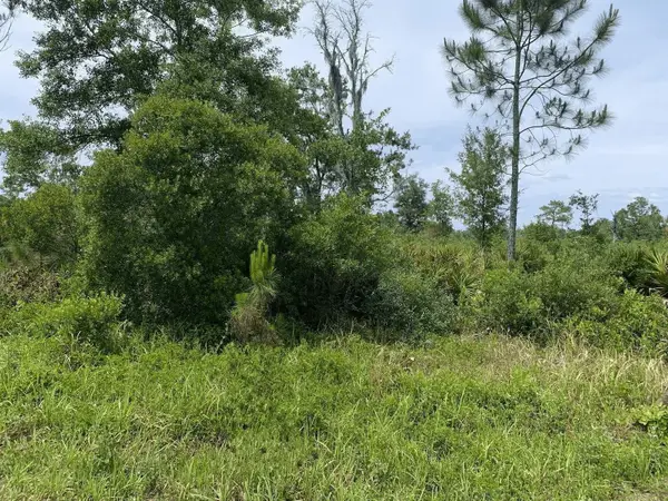 0 County Rd 54, Kathleen, FL 33849