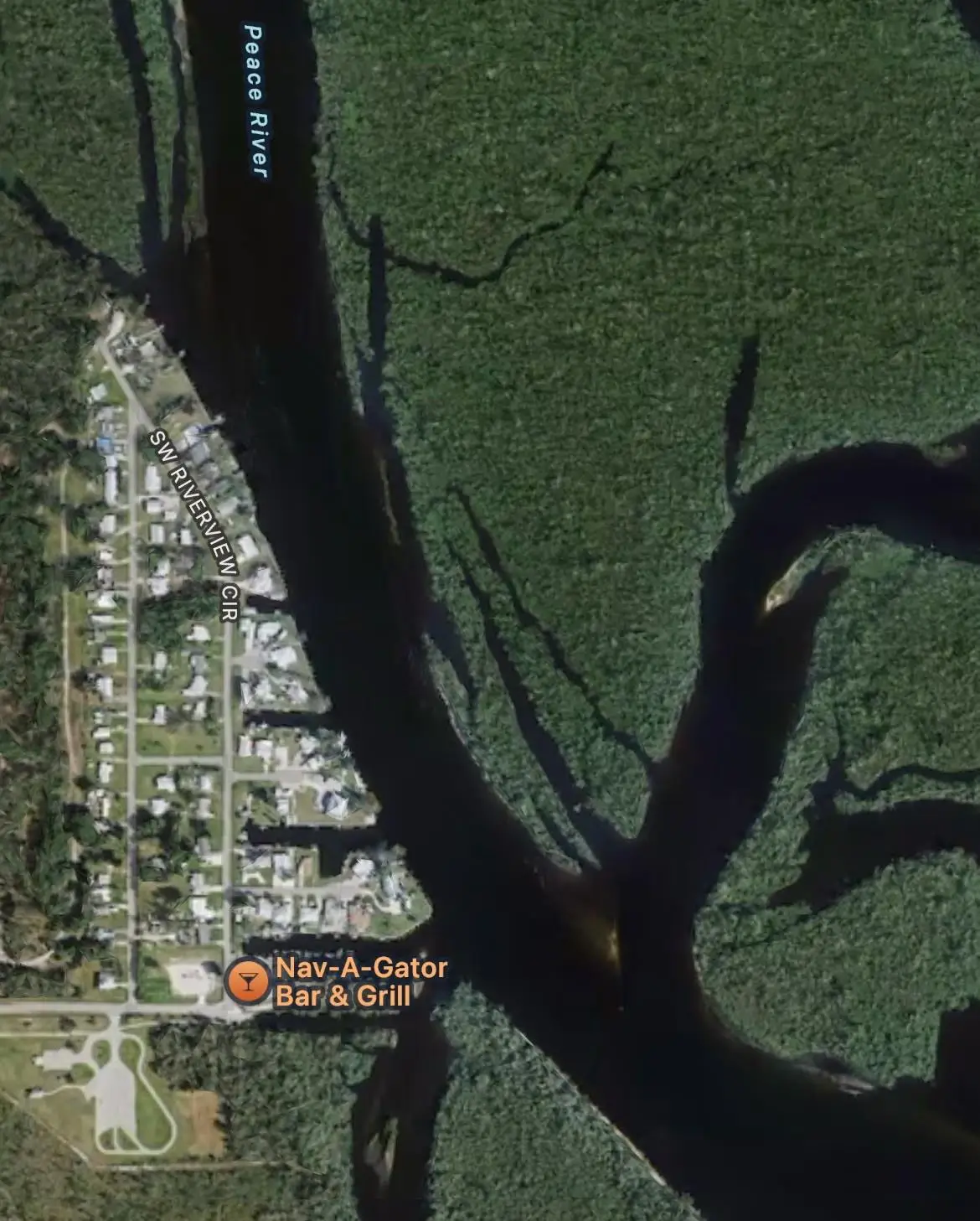 10301 SW Riverview Circle, Arcadia, FL 34269 - Image #1