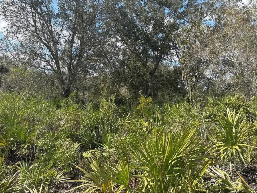 0 NW 300th Street, Okeechobee, FL 34972 - Image #2