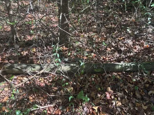 0 SE 157th Street, Umatilla, FL 32784 - #1