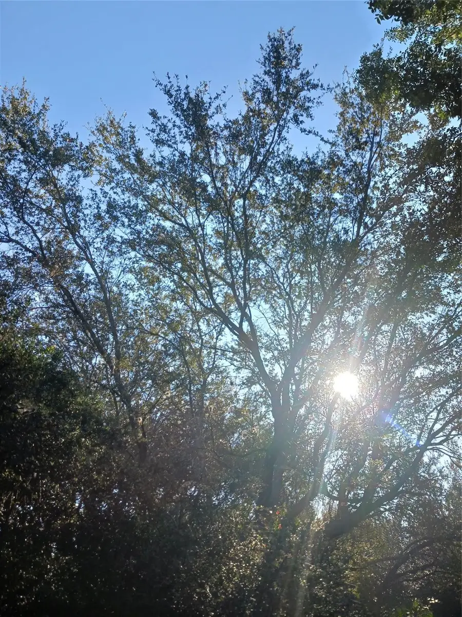 0000 Windinghill Rd, Ocala, FL 34471 - Image #2