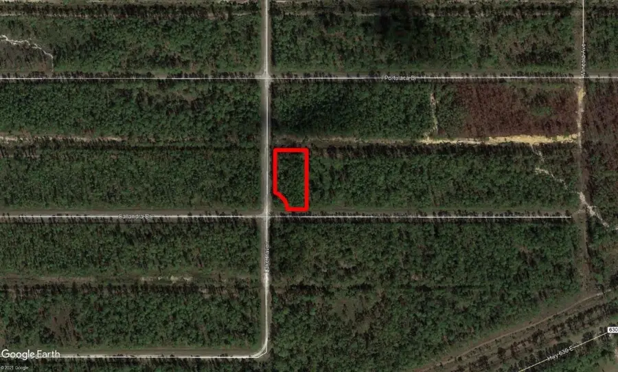 0 Calliandra Drive, Indian Lake Estates, FL  - Image #2