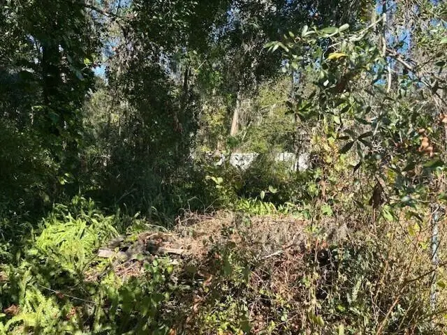 0 Maple Hill Court, Lakeland, FL 33811 - Image #3