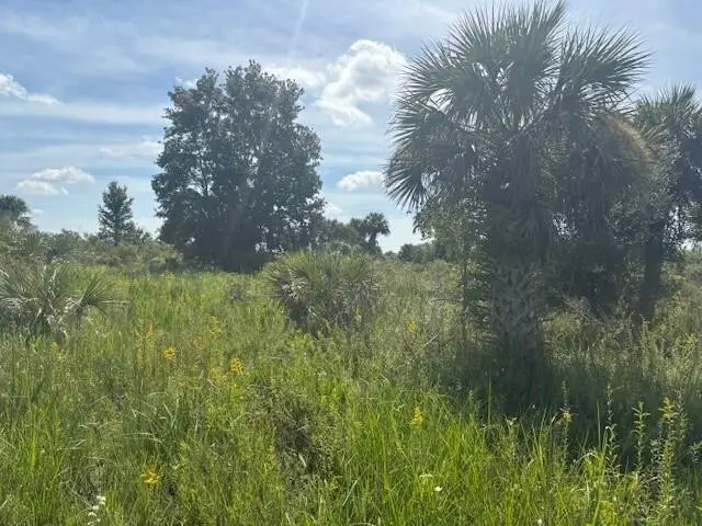 0 NW 310th Street, Okeechobee, FL 34972 - #2