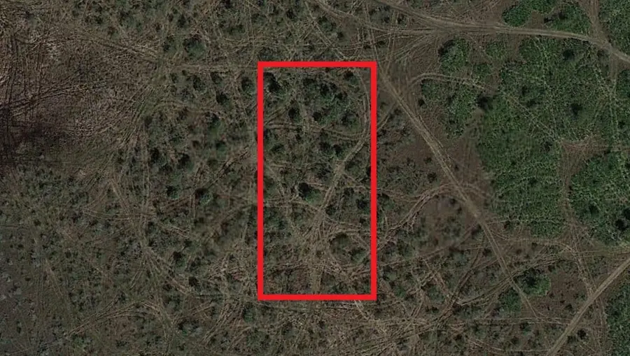 0 NW 310th Street, Okeechobee, FL 34972 - Image #2