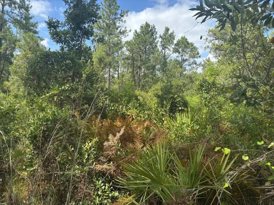 0 Hwy 630e, Frostproof, FL 33843 - Image #2