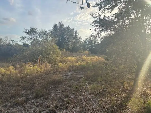 20745 NW 302nd Street, Okeechobee, FL 34972 - Image #3