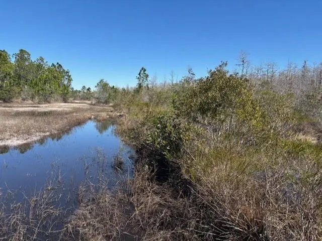 0 Holopaw Groves Road, Saint Cloud, FL 34772 - #2