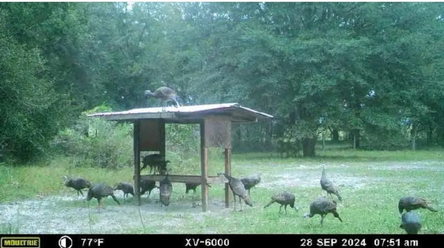 800 SW Applewood Glen, Fort White, FL 32038 - Image #2