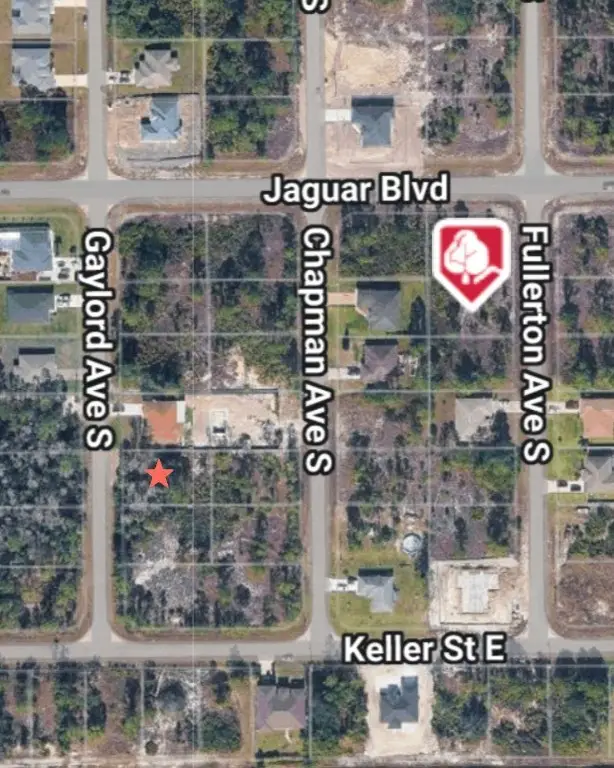 811 Gaylord Avenue, Lehigh Acres, FL 33974 - #2