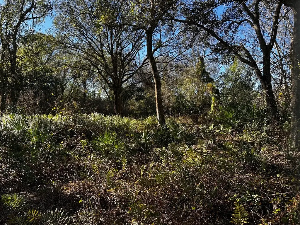 10305 NE 2nd Terrace, Okeechobee, FL 34972 - #1