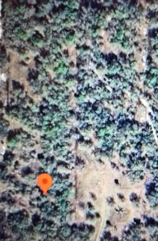 22343 NW 284th Street, Okeechobee, FL 34972 - #1