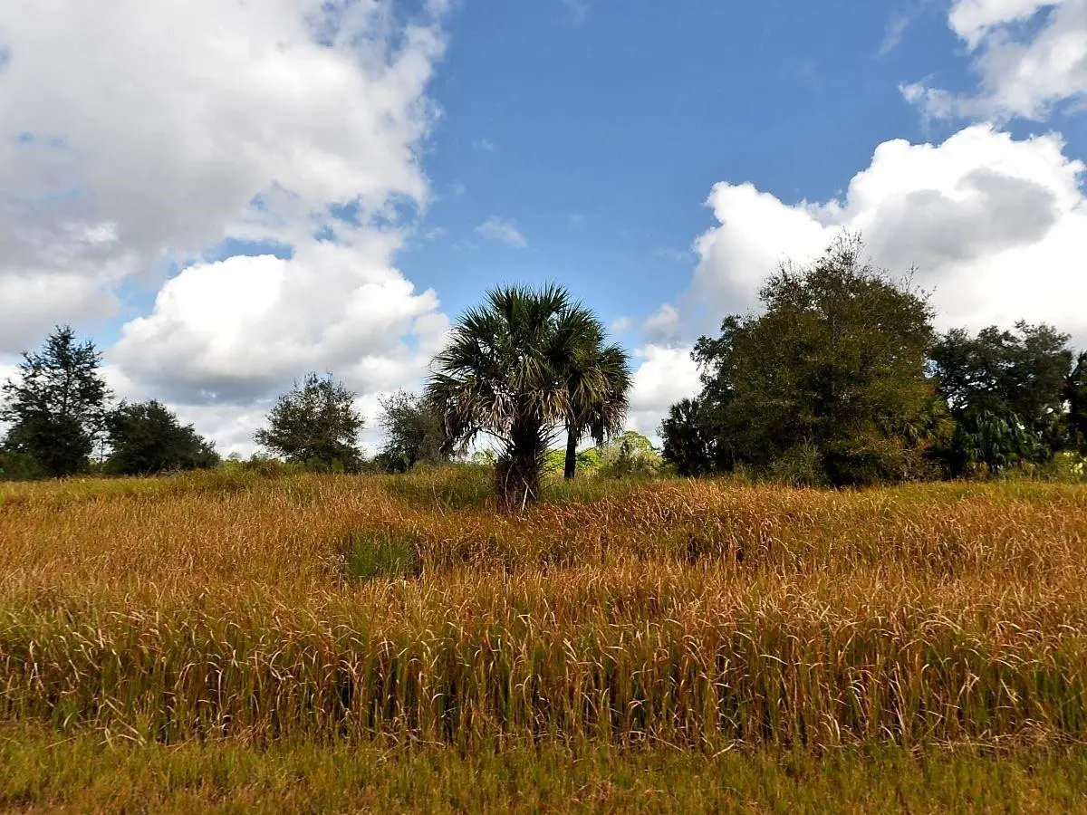 005 Hatteras Avenue, North Port, FL 34288 - #1