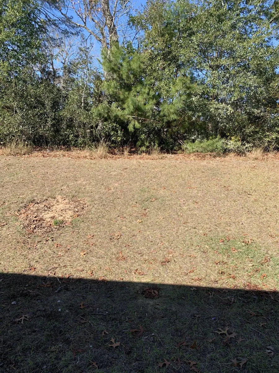 134 Hickory Course Trail, Ocala, FL 34472 - Image #3