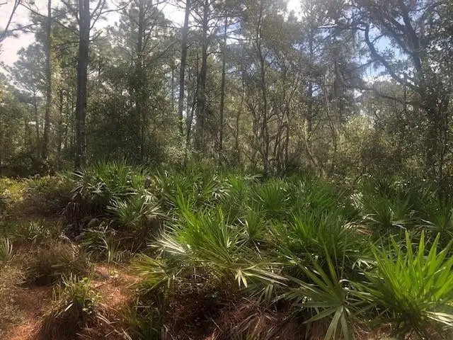 0 Old Grade Road, Polk City, FL 33868 - #2