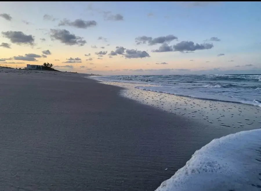 871 Osprey Lane, Hutchinson Island, FL 34949 - Image #3