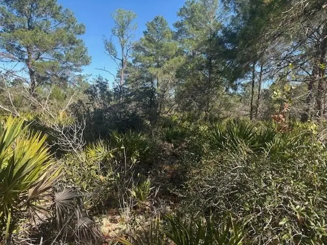 10681 Interlacher Drive, Sebring, FL 33852 - #2