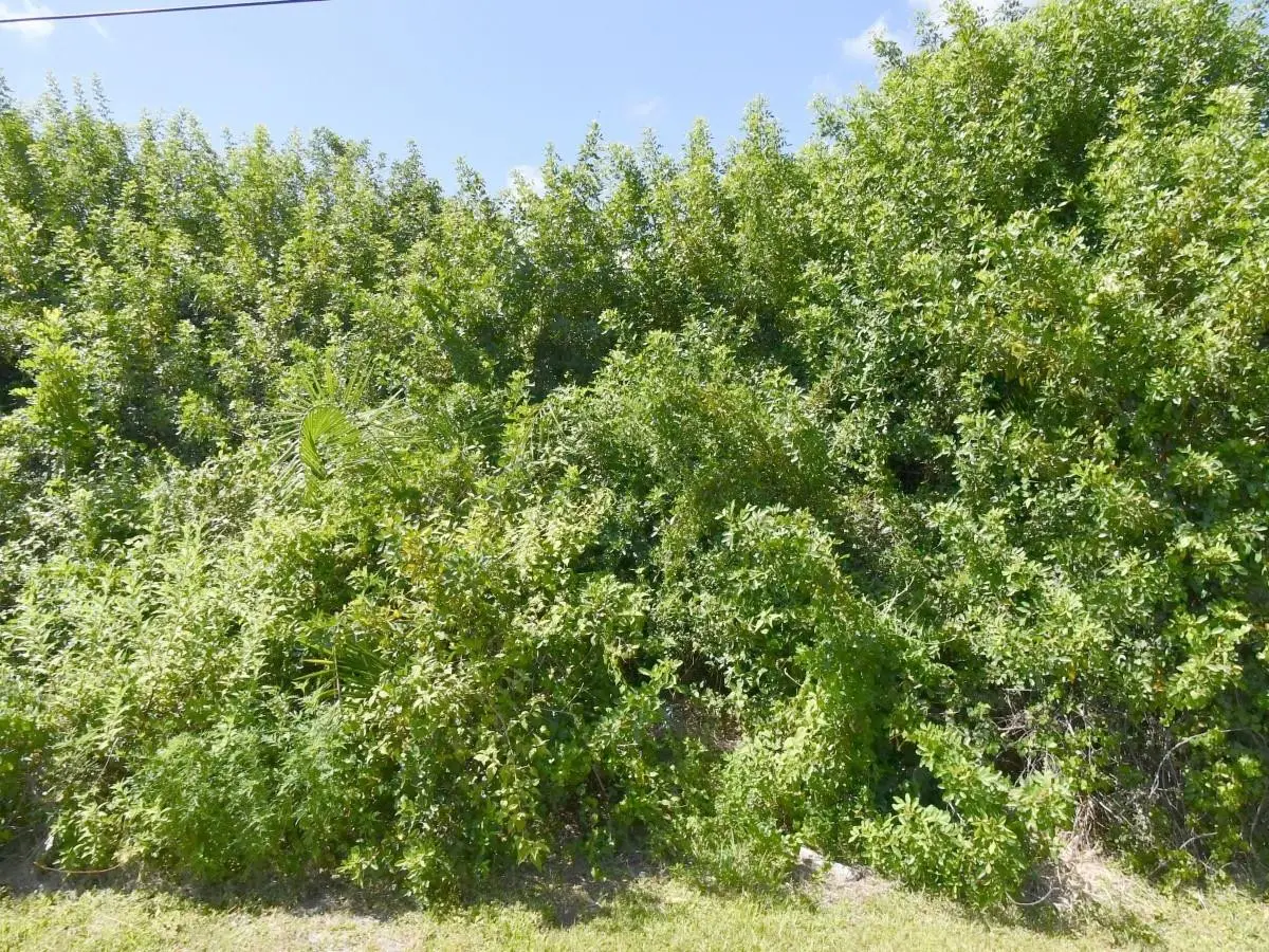 4273 SW Rosser Boulevard, Port Saint Lucie, FL 34953 - #1