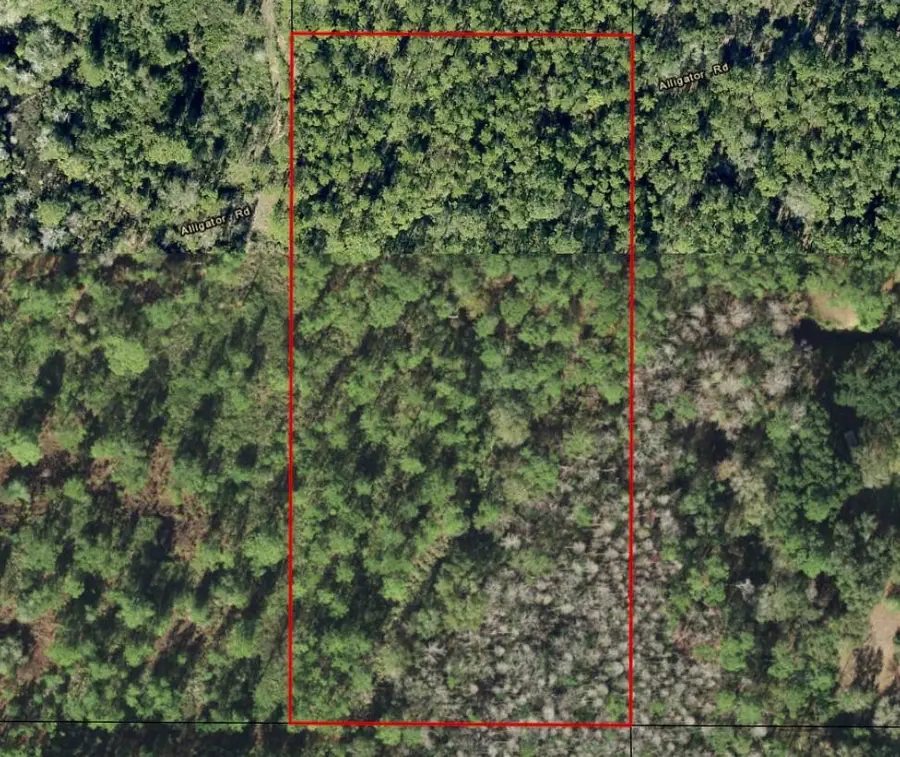 0 Alligator Road, Groveland Mascotte, FL 33868 - #2