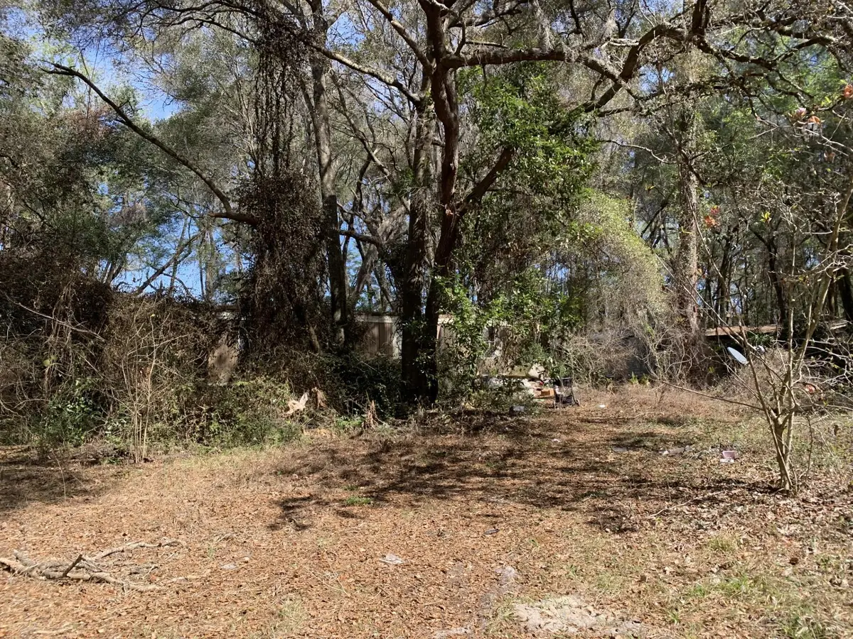 2361 178 Street, Summerfield, FL 34491 - #1