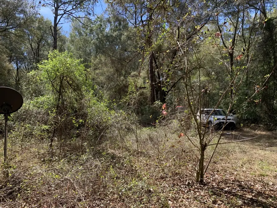 2361 178 Street, Summerfield, FL 34491 - #2