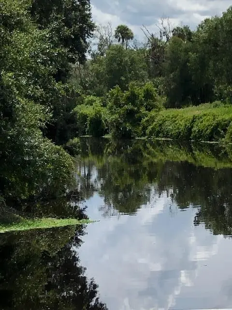 #3
