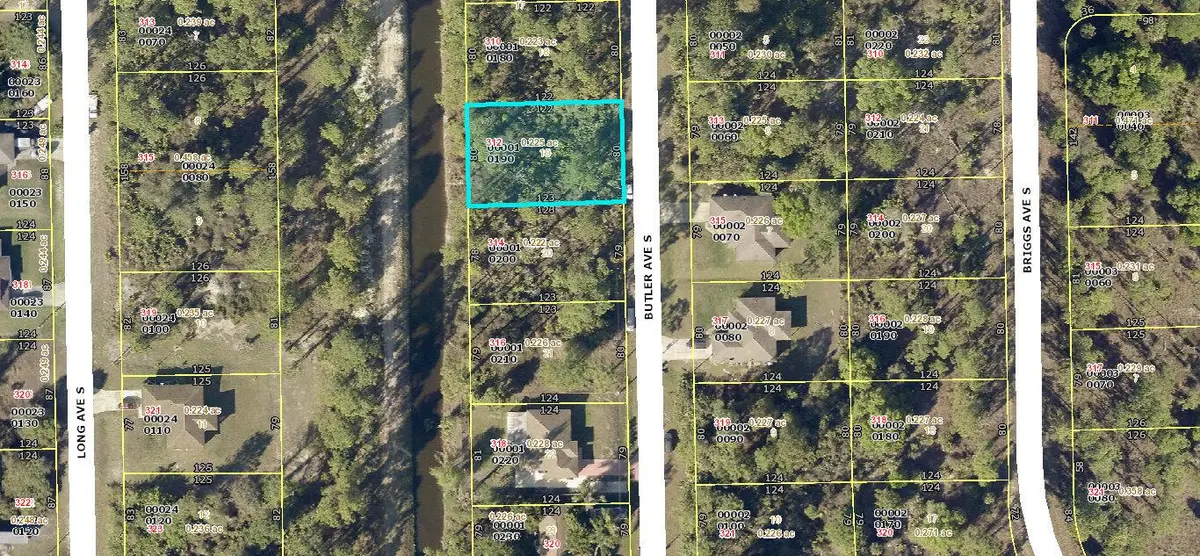 312 Butler Avenue S, Lehigh Acres, FL 33974 - Image #1