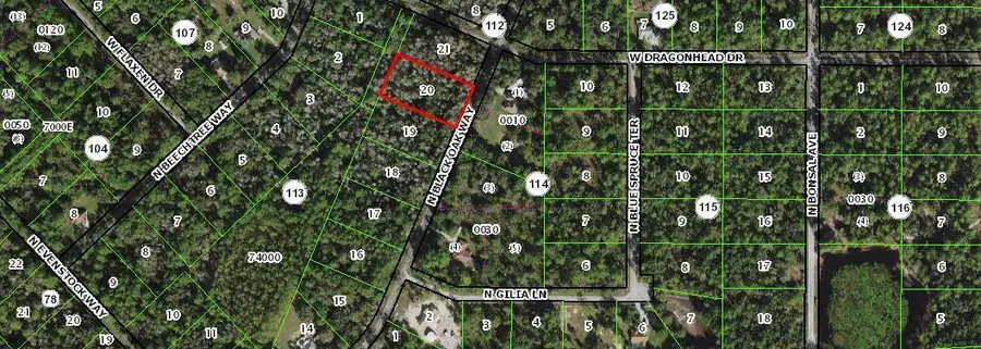9198 N Black Oak Way, Crystal River, FL 34428 - Image #2